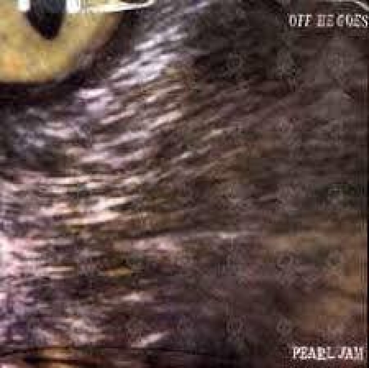 Pearl Jam-""off He Goes"" B/w ""dead Man""- 7 Inch Vin 