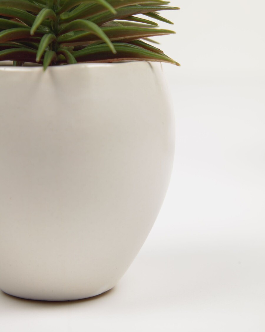 Planta artificial Pino con maceta de cerámica blanco 16 cm Planta artificial Pino con maceta de cerámica blanco 16 cm