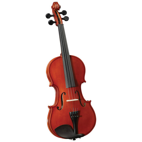 Violin Cervini Hv50 4/4 C/estuche Violin Cervini Hv50 4/4 C/estuche