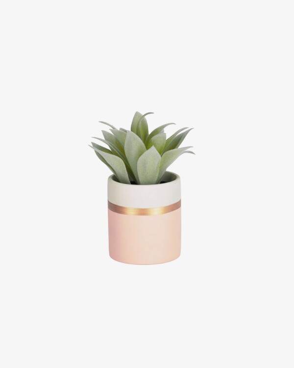 Planta artificial Agave attenuata con maceta de cerámica rosa 14 cm Planta artificial Agave attenuata con maceta de cerámica rosa 14 cm