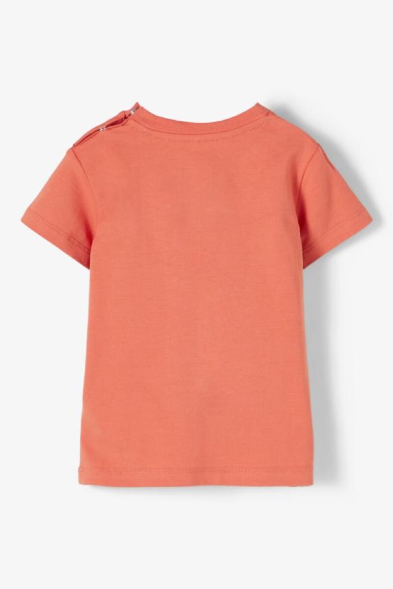 Camiseta estampada manga corta Apricot Brandy