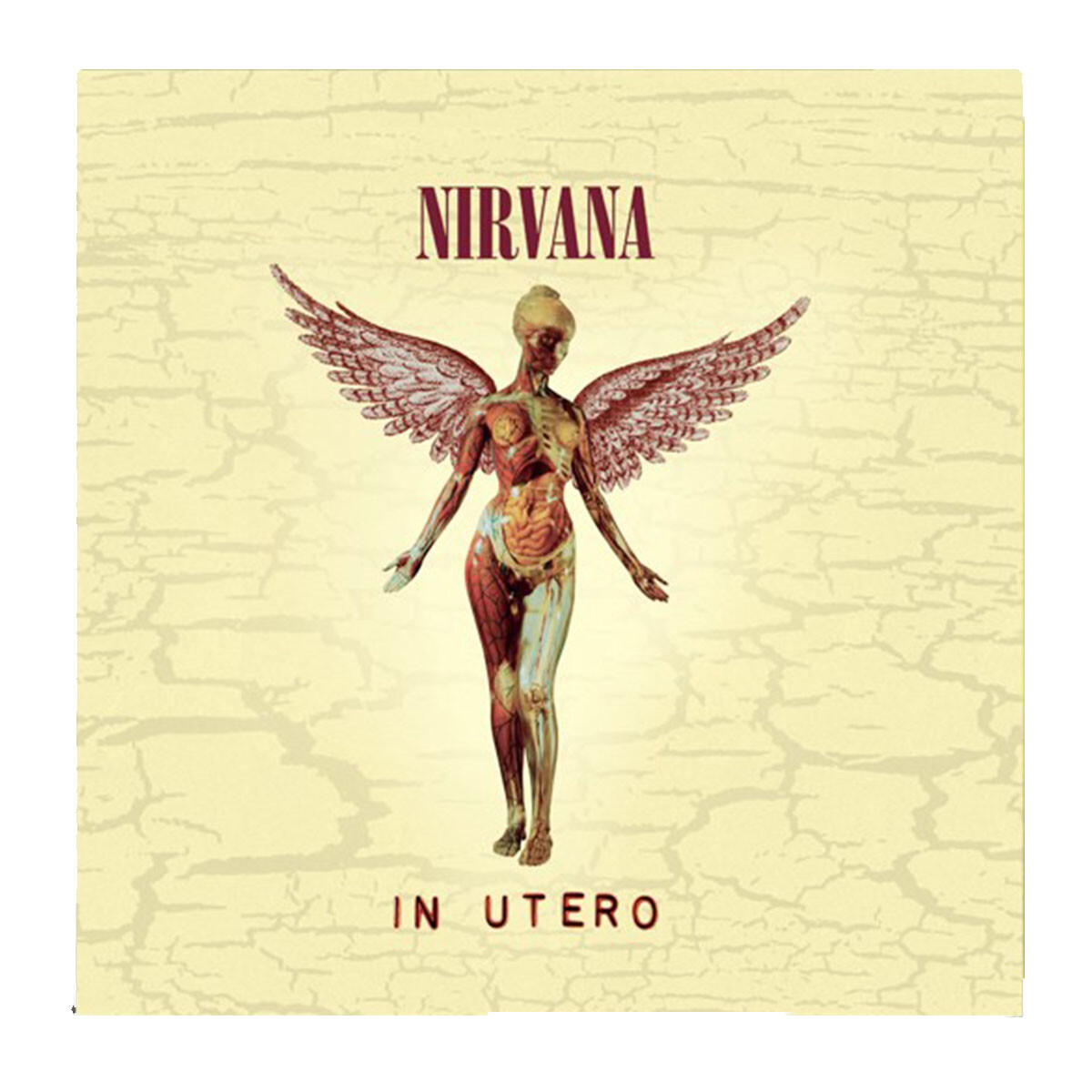 Nirvana-in Utero 