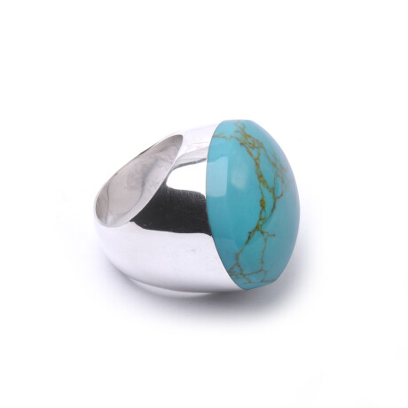 Earth Ring Earth Ring