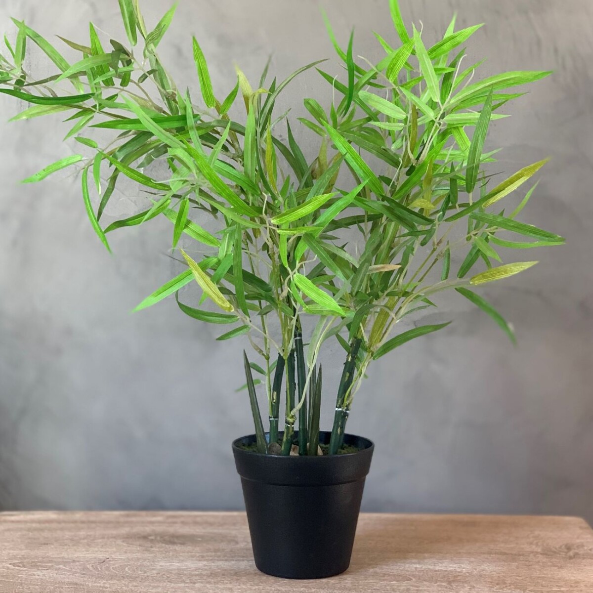 Planta Bamboo artificial 