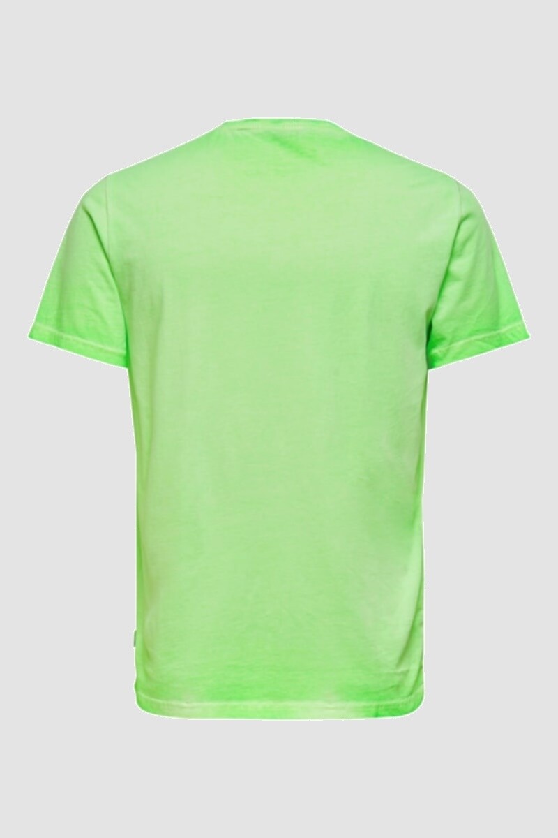 Camiseta Neón Green Gecko