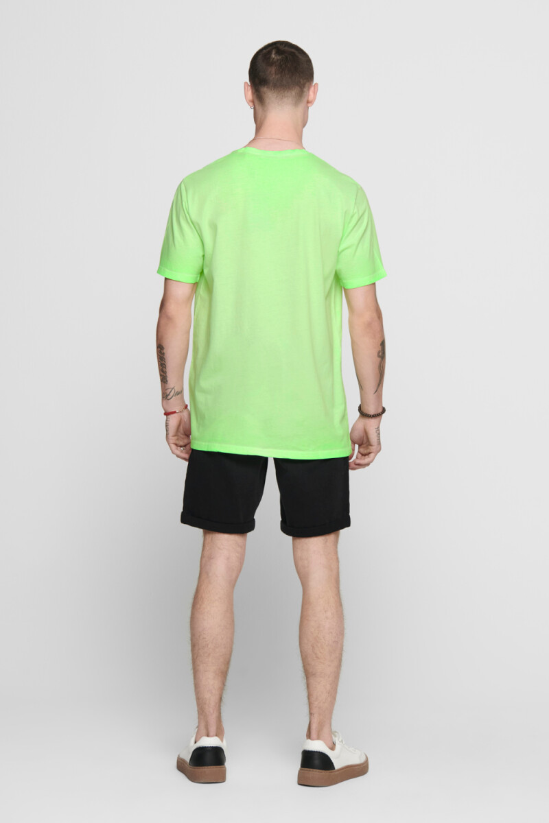 Camiseta Neón Green Gecko