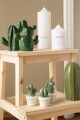 Adorno con forma de cactus verde