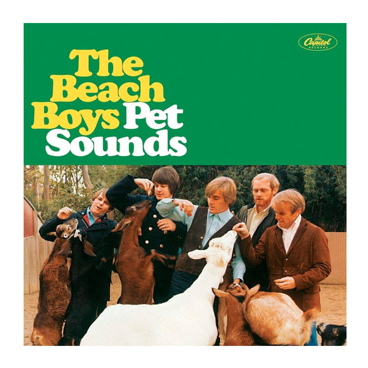 Beach Boys -pet Sounds (stereo) 