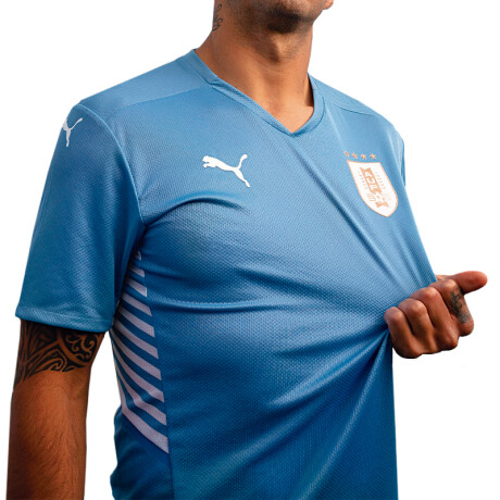 Camiseta Puma Uruguay Futbol Hombre Celeste Color Único
