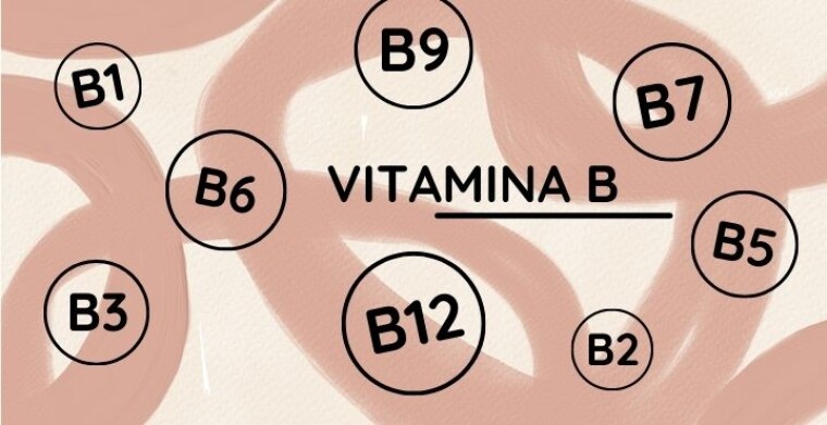 Vitamina B, porque es importante su consumo y cómo podemos incorporarla a nuestra dieta