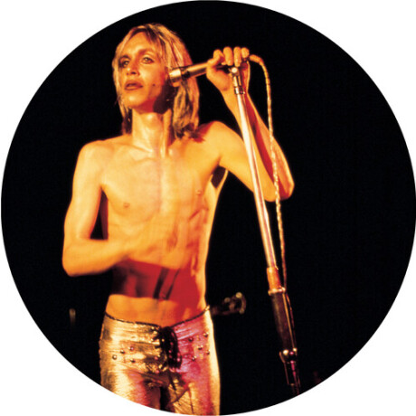 Iggy & The Stooges - More Power - A Gorgeous P... Iggy & The Stooges - More Power - A Gorgeous P...