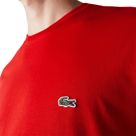 TEE SHIRT LACOSTE Red