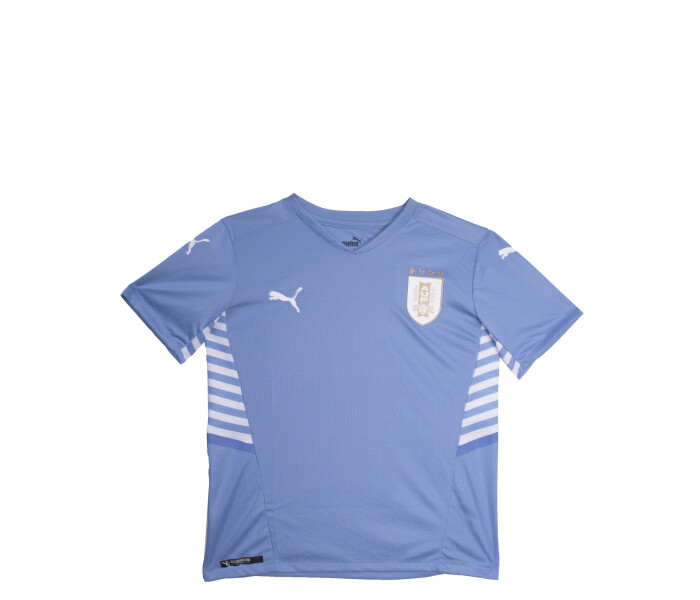 Camiseta Uruguay Jrs Celeste